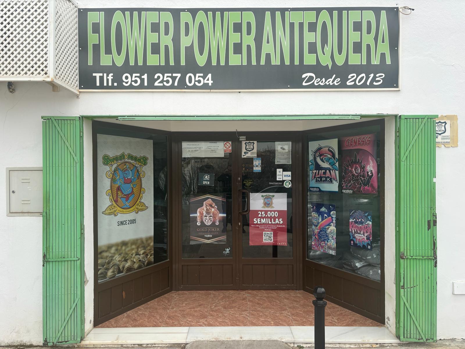 Flowe Power Antequera